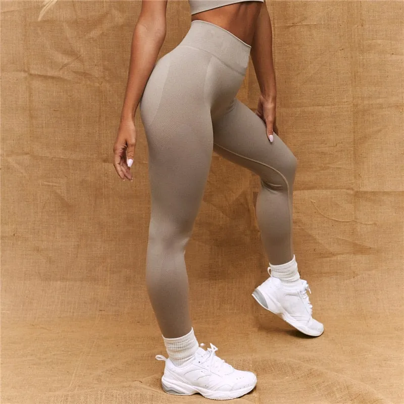Hihgh Waist Seamless Gym Leggings