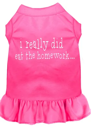 I Really Did Eat The Homework Screen Print Dress Bright Pink Xl